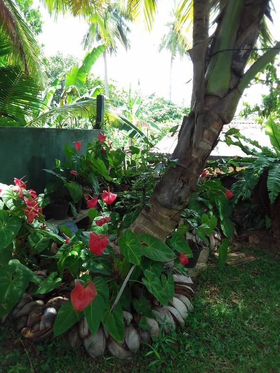 Serenity Villa Hikkaduwa Buitenkant foto